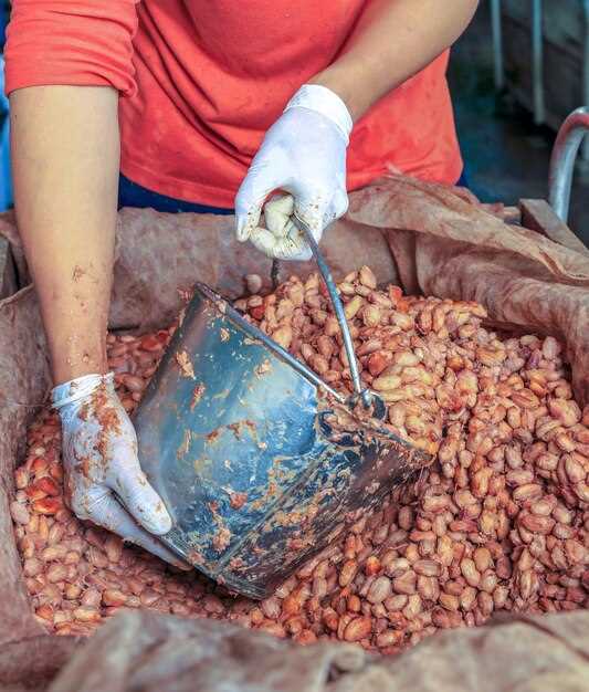 West Africa: Chocolate Fix, Partnerships, and Governance to End Deforestation