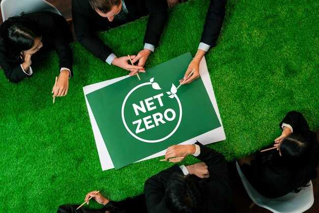 Define Net Zero Boundaries: Scope 1-3, offsets, and residual emissions