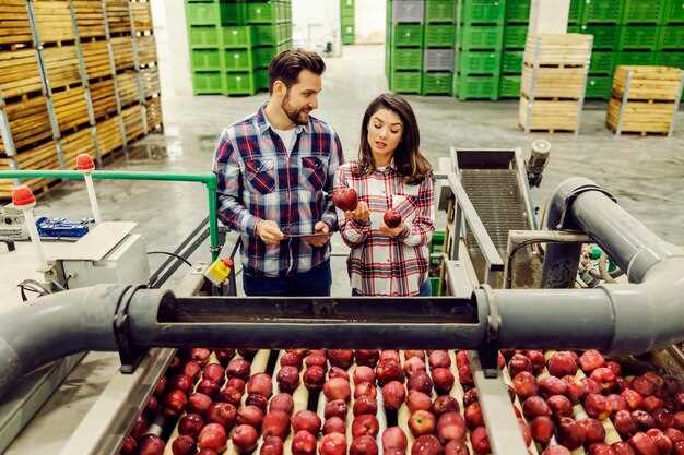 Logistics and Distribution: Global Freight, Warehousing, and Store Availability