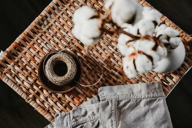 What the Better Cotton Standard covers and how it differs from conventional cotton