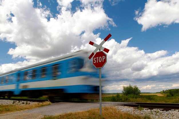 What precedent and legal challenges could follow congressional intervention?