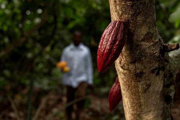 High-risk stages in the cocoa supply chain and key indicators