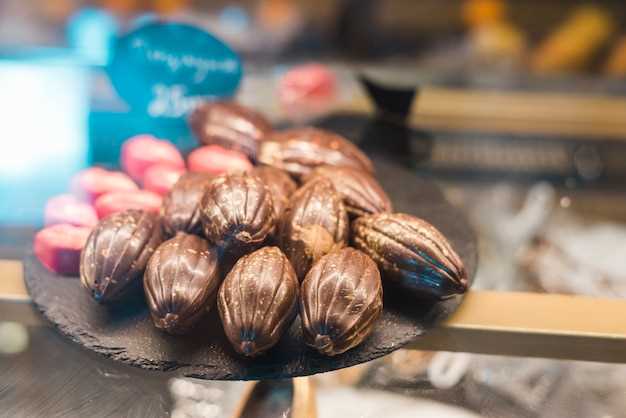 Cargill Unveils Plan to End Cocoa Deforestation
