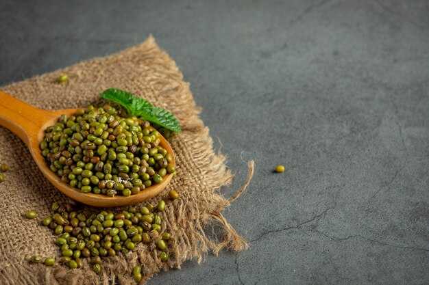 China's Demand for Myanmar Mung Beans Surges: 325 KMT Exported Over the Last Six Months
