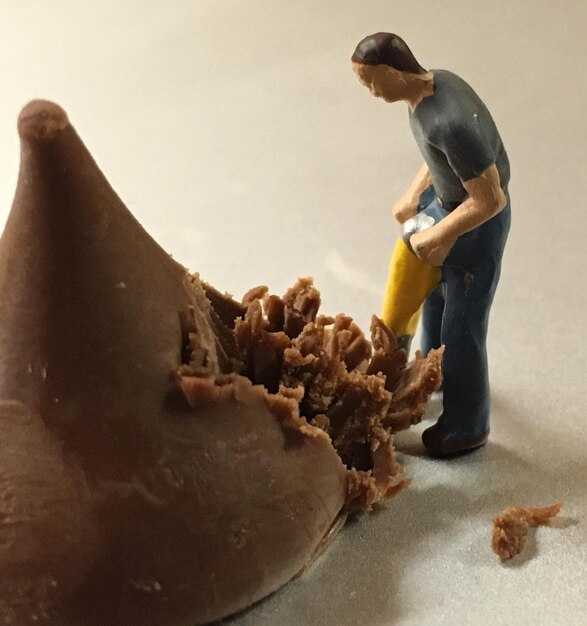 Waste-to-Clean Pathways: turning food waste into cleaning products