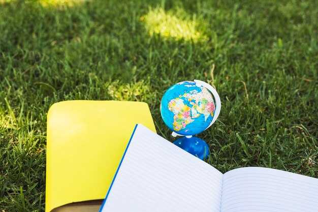 Verifying Net-Zero Claims: Metrics, Standards, and Third-Party Validation