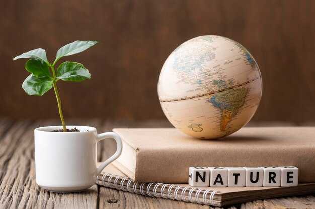 Greenwashing Signals in Net-Zero Claims: Red Flags to Watch