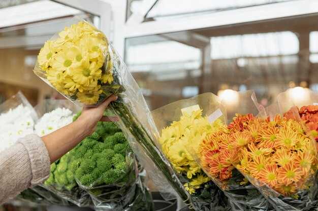 Cold Chain Logistics for Flowers: Freshness and Timeliness – Supply Chain Dive News Delivered to Your Inbox