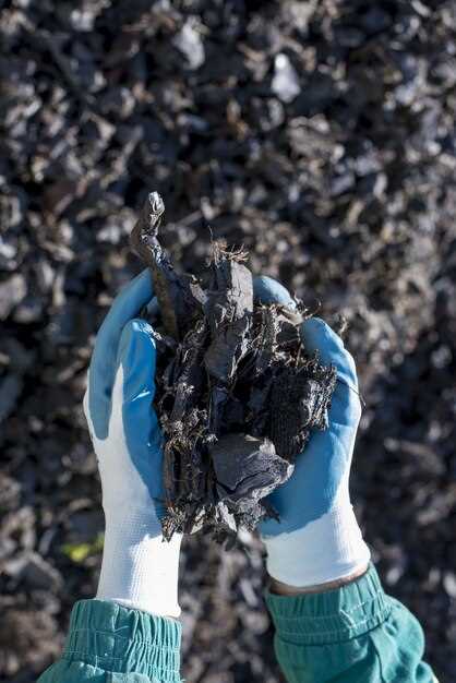Define minerals and the due-diligence scope under the EU framework
