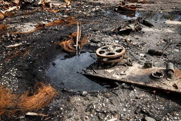 Deepwater Horizon Oil Spill – Causes, Impacts, and Environmental Lessons