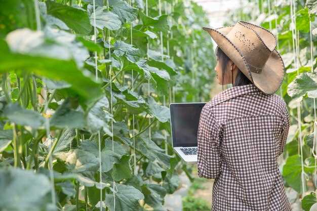 Online marketplaces and rental platforms for tractors and implements