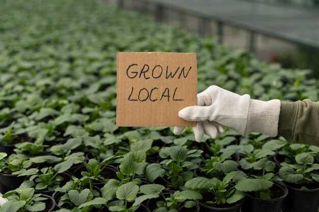 Impacts for Farmers, Hatcheries, and Feed Suppliers