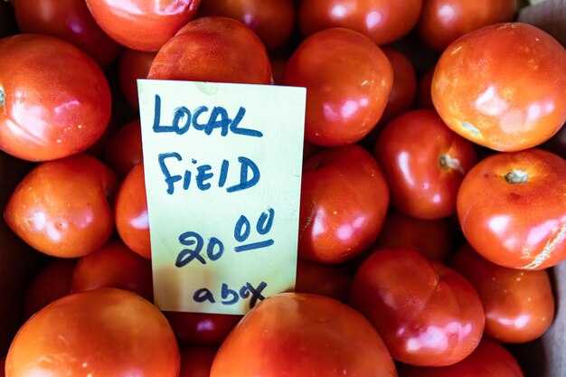 Don't Miss Tomorrow's Food Industry News - The Latest Trends and Updates Don't Miss Tomorrow's Food Industry News: The Latest Trends and Updates