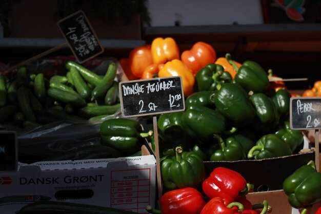 Tomorrow's Grocery Industry News: Trends, Alerts, and FreshDirect Updates