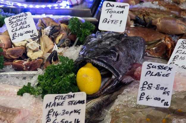 Energy and Shipping Decisions Needed Before Meatworks, Says Chatham Islands Mayor Energy and Shipping Decisions Needed Before Meatworks, Says Chatham Islands Mayor