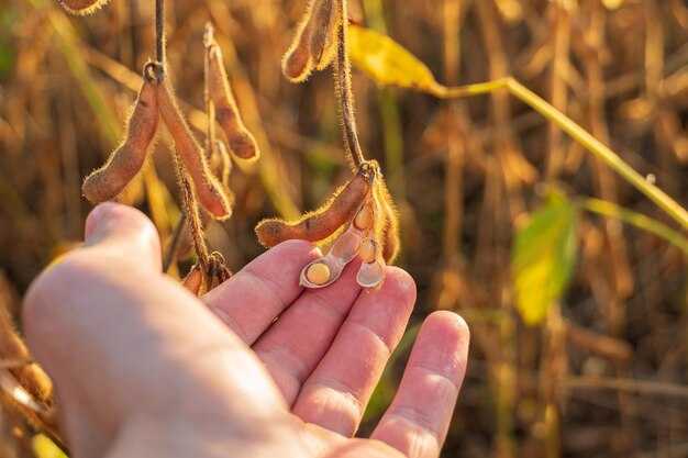 UK and EU firm coordination: advocacy and policy alignment with Brazil