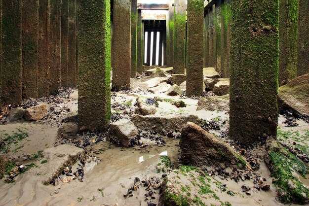 Florence Floodwater Spills: Sewage, Coal Ash, and Hog Waste Lagoons