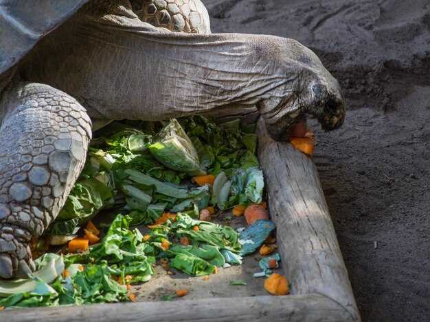 Regional variation: climate, agriculture, and diet changes shaping risk