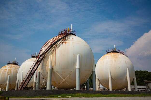 Delivery Fleet Transition: Vehicle Types, Refueling, and Downtime Mitigation