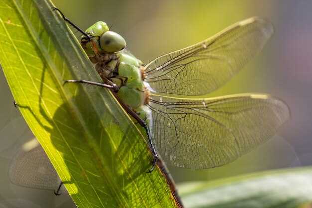 Hub Group Integration: Practical Impacts for Grasshopper Workflows