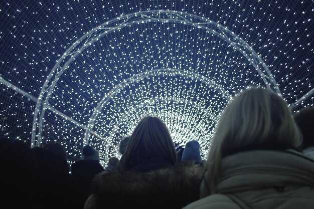 Network integration: carriers, routing, and inbound/outbound flows