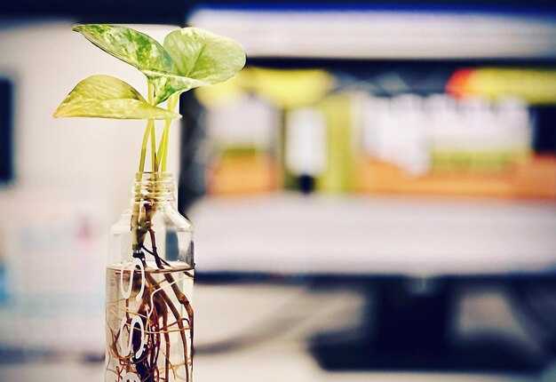 Camera Adună Deputaēilor LegislaĞie Susğinită de BIO pentru Extinderea Accesului la Capital pentru Firmele de Biotehnologie