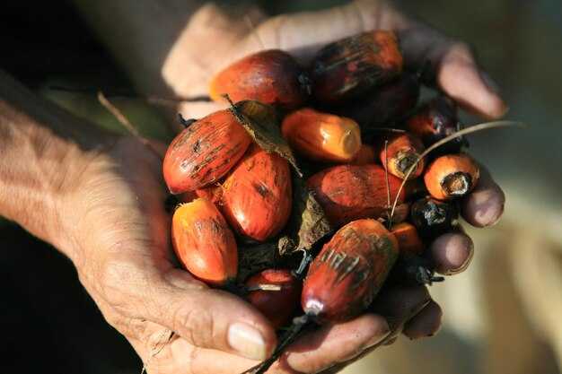 Suspension of select export permits: scope, criteria, and exporters