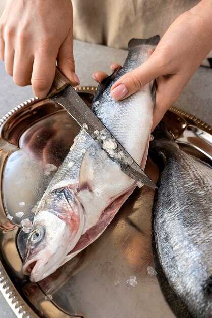 Comprehensive Plan: Is That Fish the Right Species? Seafood Mislabeling and Venezuelan Airspace Policy