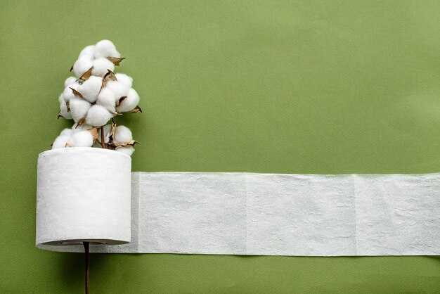 St matters: Covid-19’s lessons on progress and the universal sanitation challenge