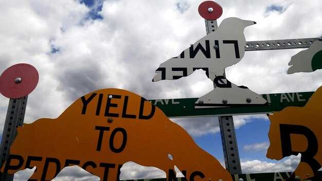 Regional capacity gains and coverage map after the acquisition