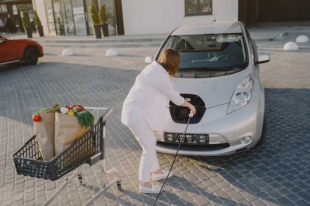 How can collection and reverse-logistics costs be optimized within the domestic EV value chain?