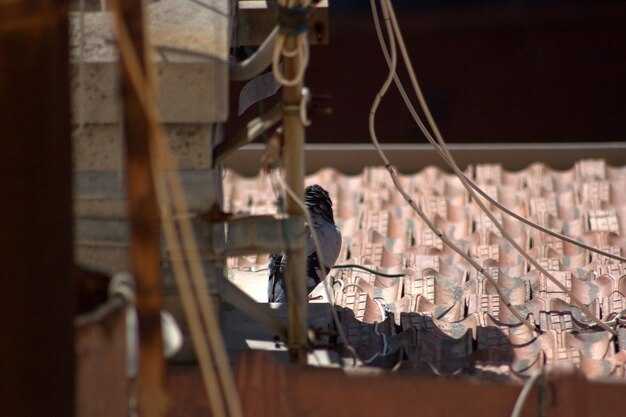 Practical steps to prevent child labor and modern slavery in supply chains with hands-on actions for risk management, remediation, and transparency