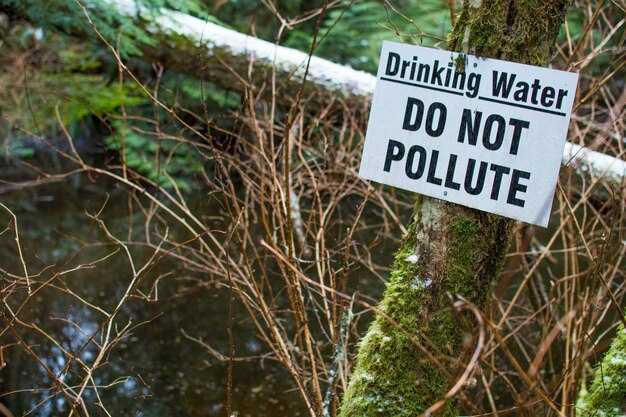 New NRDC Report Exposes Toilet Paper Companies Destroying Canada’s Boreal Forests New NRDC Report Exposes Toilet Paper Companies Destroying Canada’s Boreal Forests