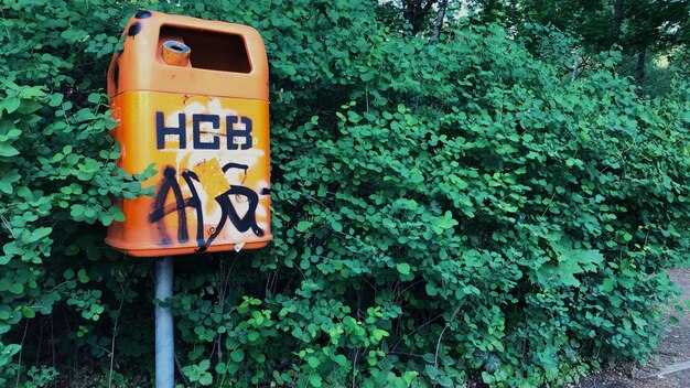 Ninth Circuit Green-Lights FMCSA Decision to Preempt California Break Rules