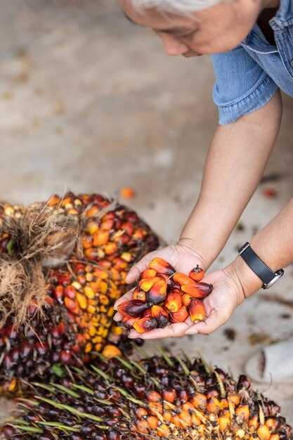 PepsiCo and FrieslandCampina Urge Suppliers to Stop AAL Palm Oil Purchases