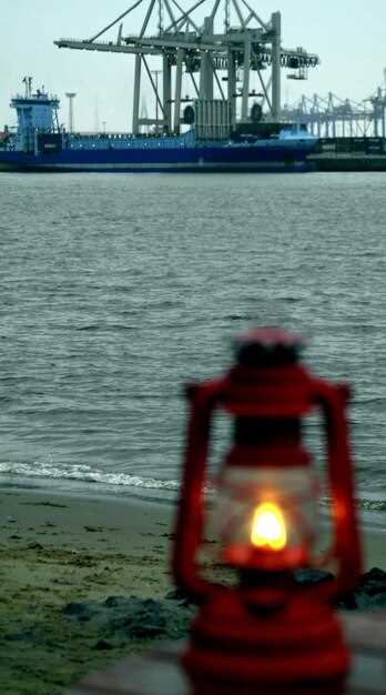 Jobs at risk: specific roles, expected changes, and retraining options for port workers