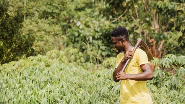 Post-Harvest Losses in Indian Agriculture: A Hidden Challenge with Far-Reaching Impacts - Causes and Solutions