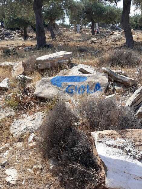 What immediate safety steps should residents and visitors take after the quake