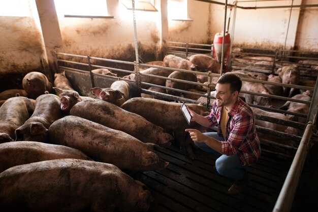 Prop 12 Impact: Financial Uncertainties for Pork Producers