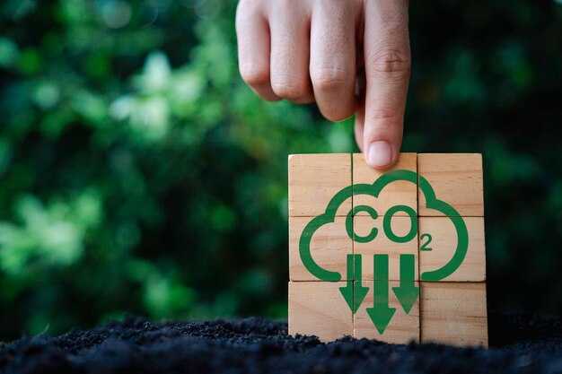 Plan: Reducing Our Carbon Footprint