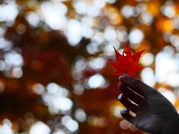 How to align regional investments for balanced prosperity across Canada