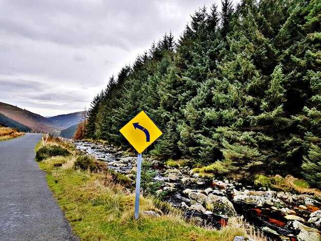 Damage claims breakdown: types of damage and typical filing patterns