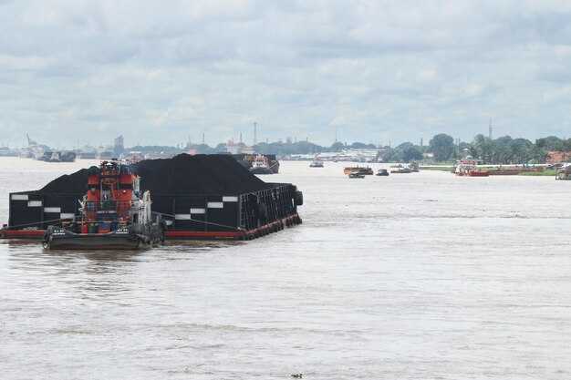 Cargo flows: who is affected among importers, exporters, and retailers