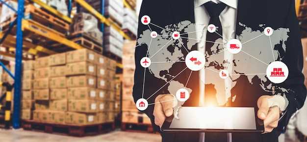 Supply Chains 101 – A Guide for Modern Businesses
