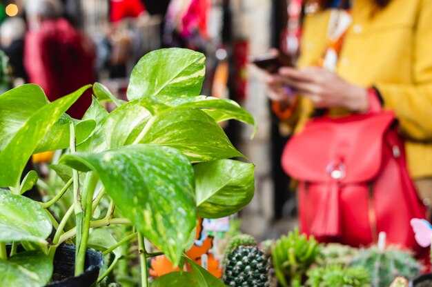 Udržateľnosť v maloobchode - Základné ekologické postupy pre podniky Udržateľnosť v maloobchode: Základné ekologické postupy pre podniky