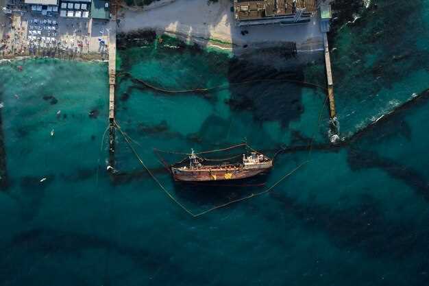 The Fall of Hanjin Shipping: Lessons for the Maritime Industry