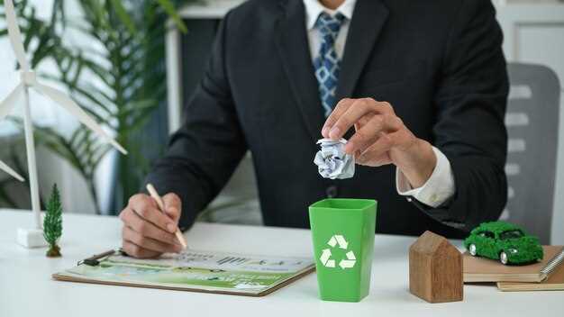 Budgeting for sustainability: linking metrics to capital allocation decisions