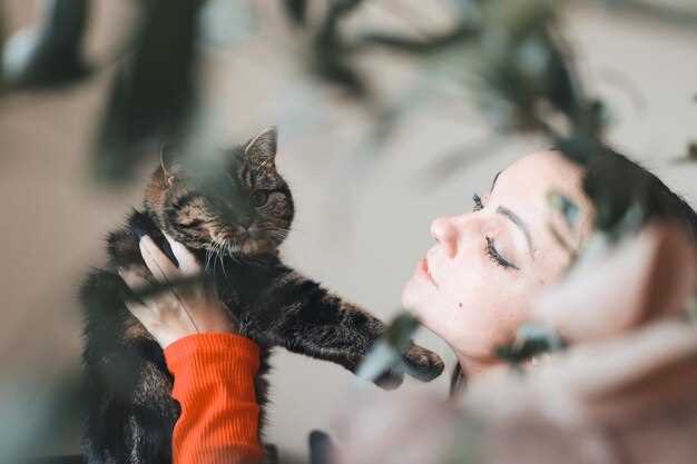 There’s More Than One Way to Skin a Cat – Creative Problem-Solving
