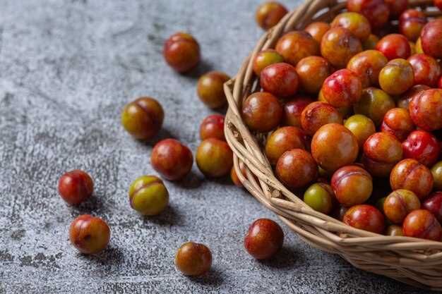 US Blocks Palm Oil Imports from Malaysian Producer Sime Darby