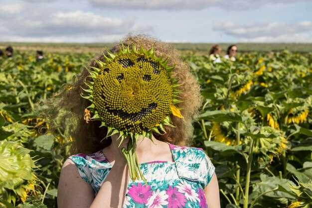 How will Velva be affected: jobs, local economy, and services?